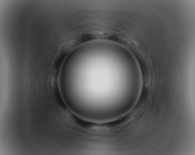 X0000088130515200705211118