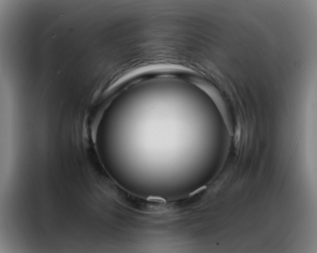 X0000088130516200705211118