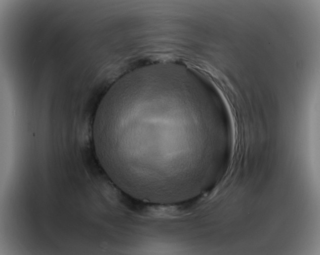 X0000088130517200705211118