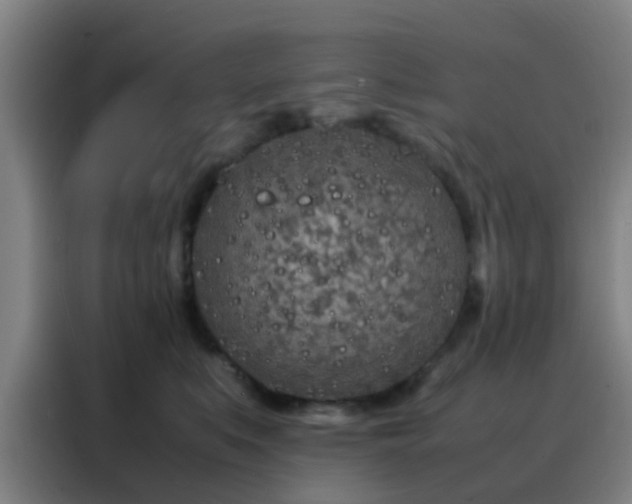 X0000088130519200705211118