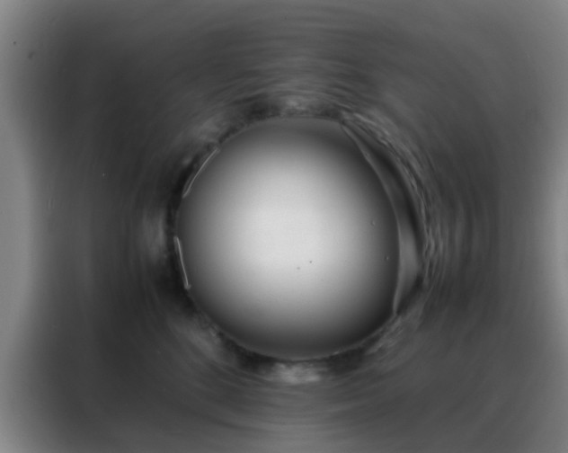 X0000088130520200705211118