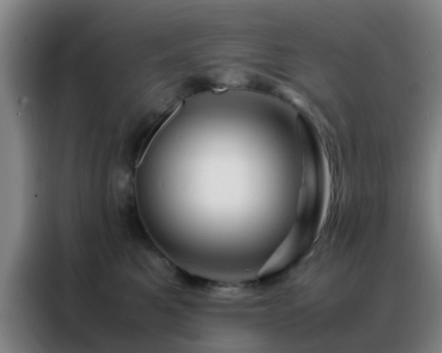 X0000088130521200705211118