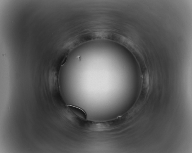 X0000088130522200705211118