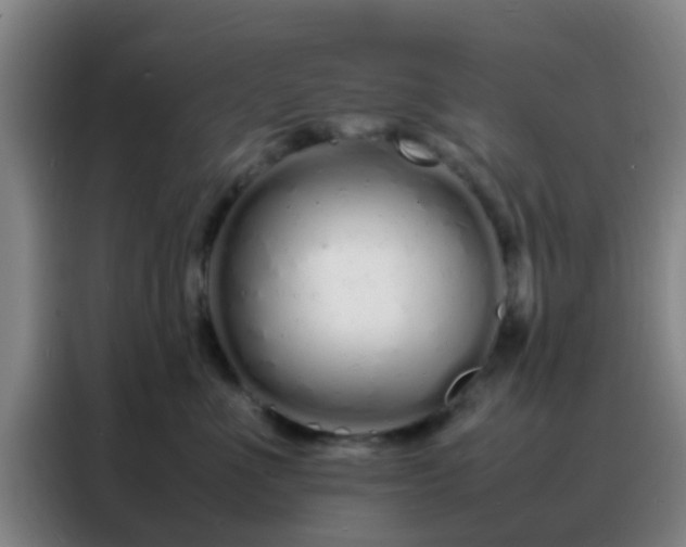 X0000088130523200705211118