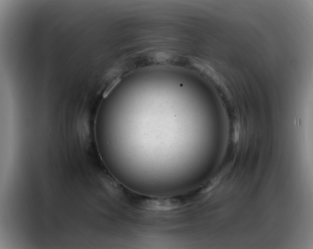 X0000088130524200705211118