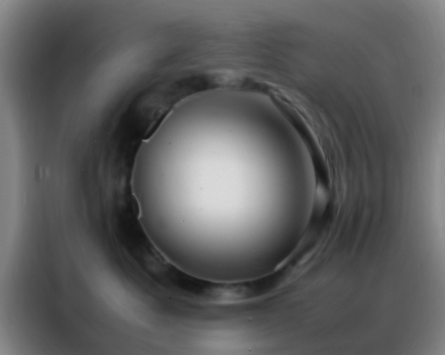 X0000088130525200705211118