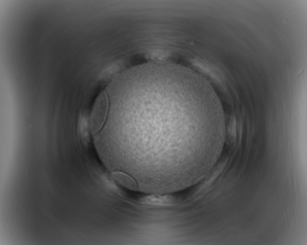 X0000088130526200705211118