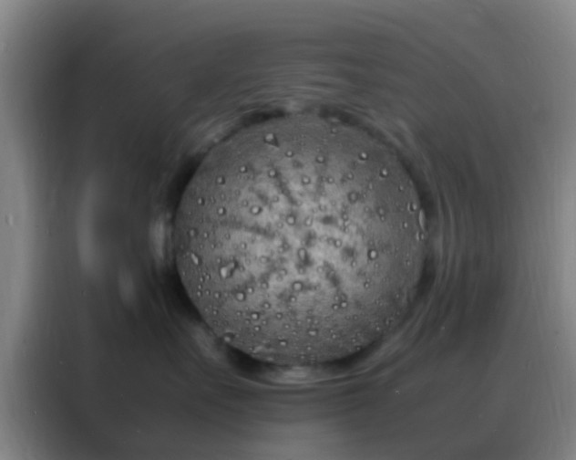 X0000088130527200705211118