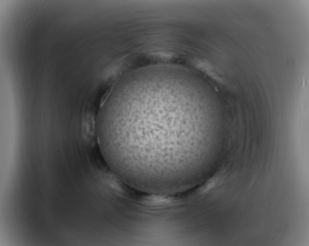 X0000088130528200705211118