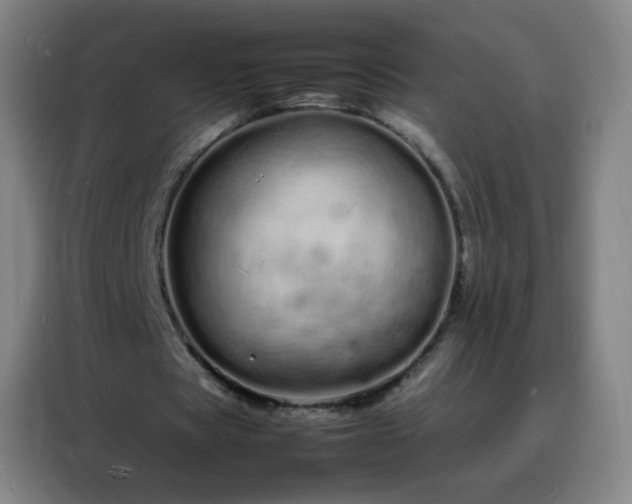 X0000088130529200705211117