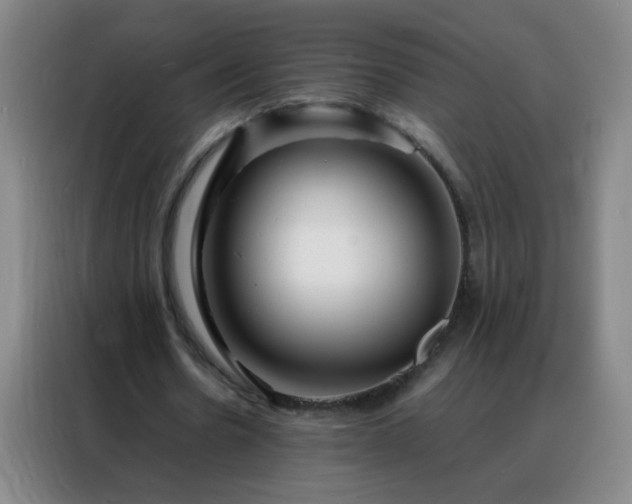 X0000088130530200705211117