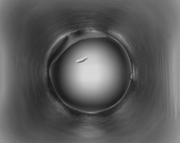 X0000088130531200705211117