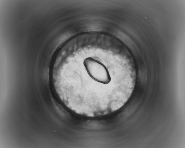 X0000088130534200705211117