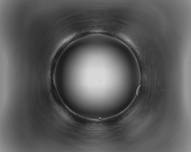 X0000088130535200705211117