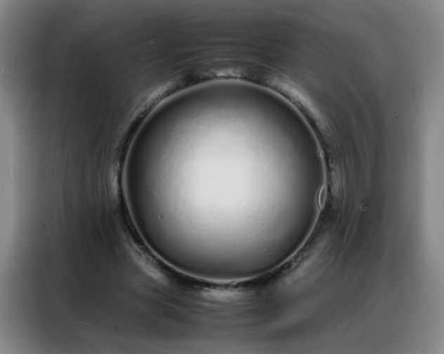 X0000088130537200705211117