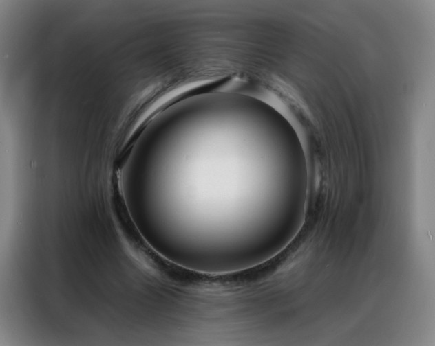 X0000088130538200705211117