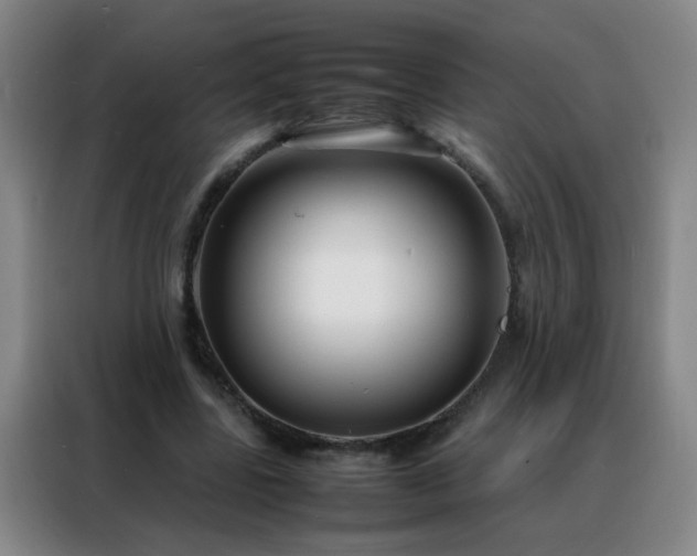 X0000088130539200705211117