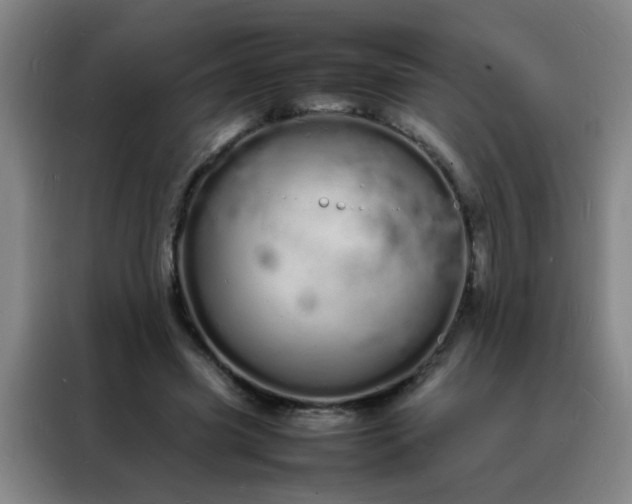 X0000088130541200705211118