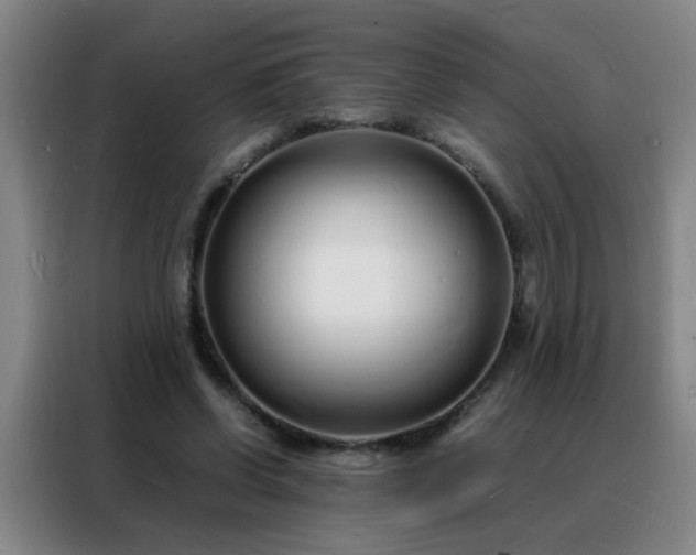 X0000088130542200705211118