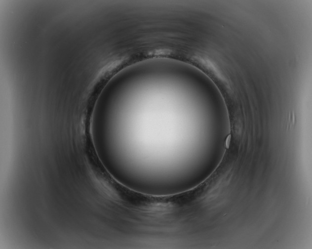 X0000088130543200705211118