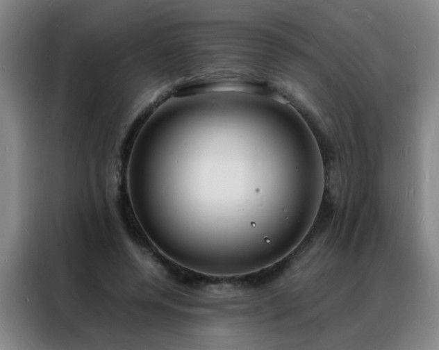 X0000088130544200705211118