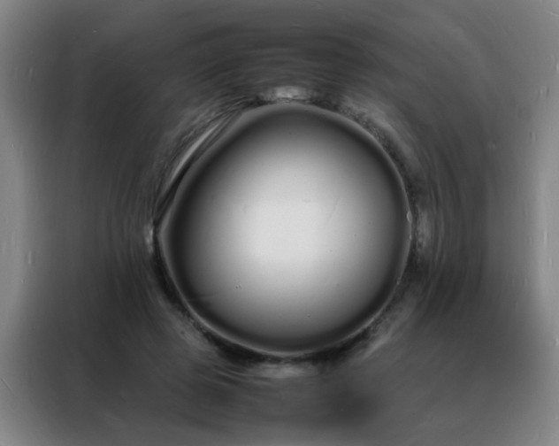 X0000088130545200705211118