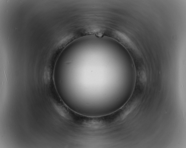 X0000088130546200705211118