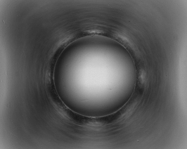 X0000088130547200705211118