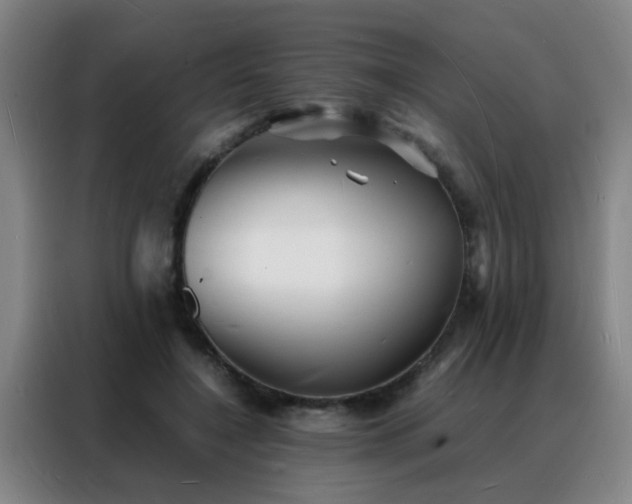 X0000088130548200705211118