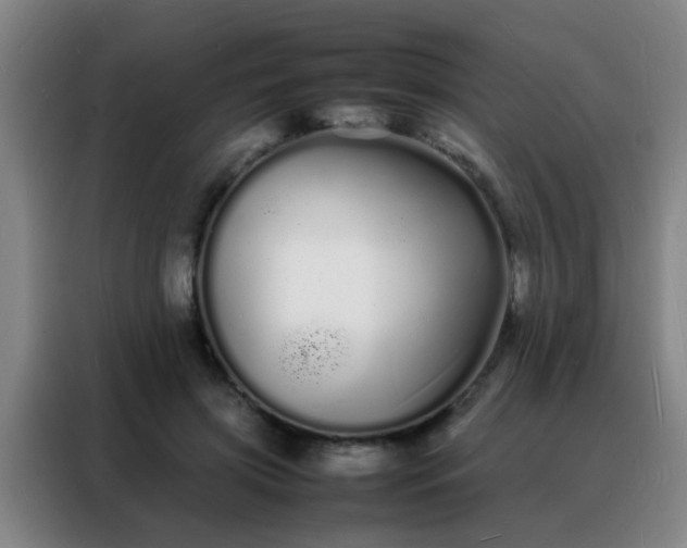 X0000088130549200705211118