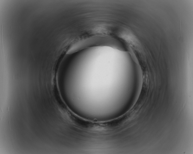 X0000088130550200705211118