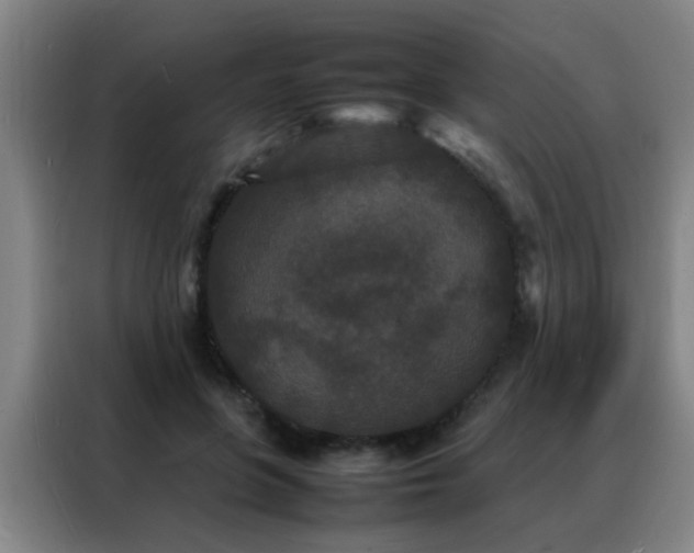 X0000088130551200705211118