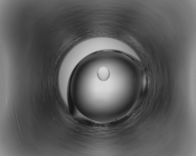 X0000088130552200705211118