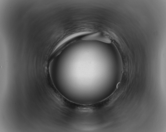 X0000088130553200705211118