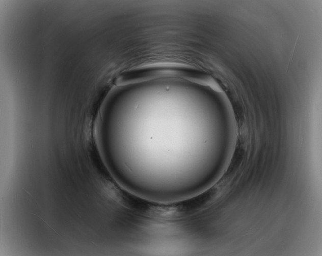 X0000088130554200705211118