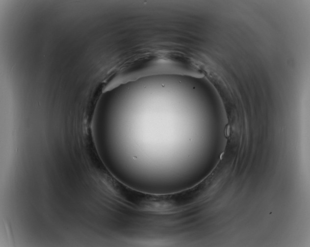 X0000088130555200705211118