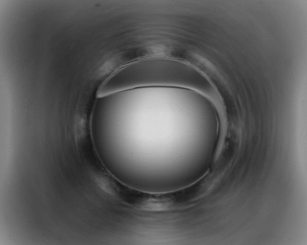 X0000088130556200705211118