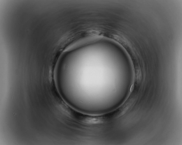 X0000088130557200705211118