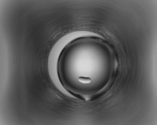 X0000088130558200705211118