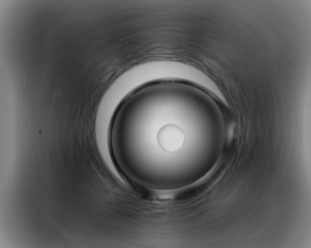 X0000088130560200705211118