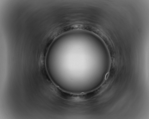 X0000088130561200705211118