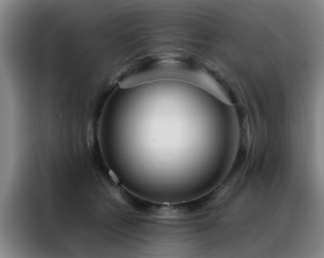 X0000088130562200705211118