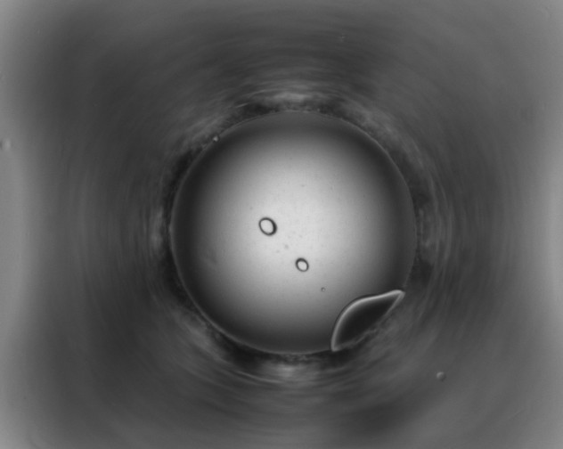 X0000088130563200705211118