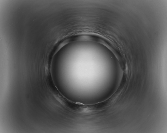 X0000088130564200705211118