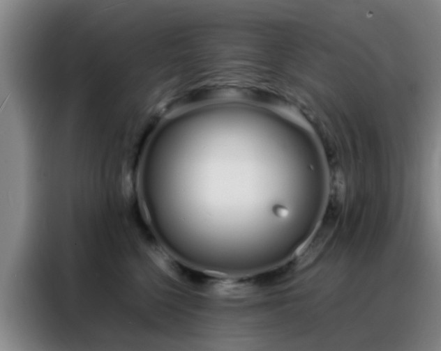 X0000088130568200705211118