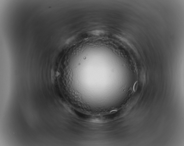 X0000088130569200705211118