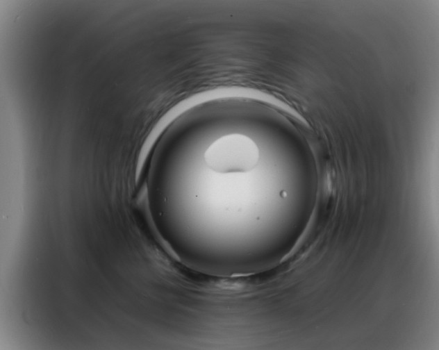 X0000088130570200705211118