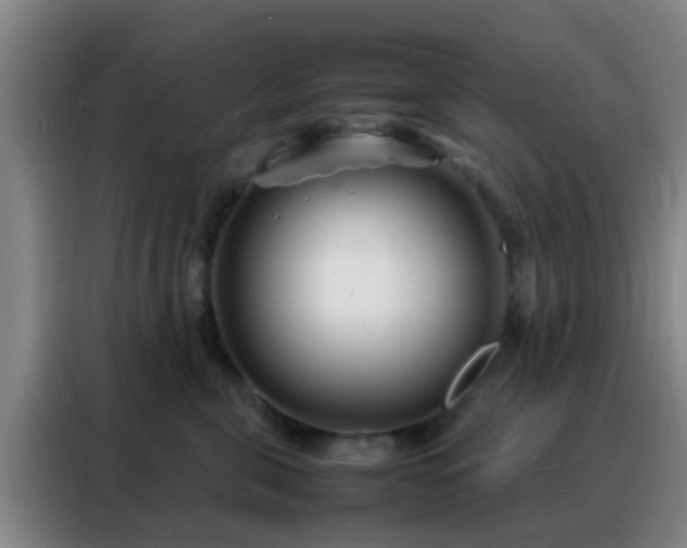 X0000088130571200705211118