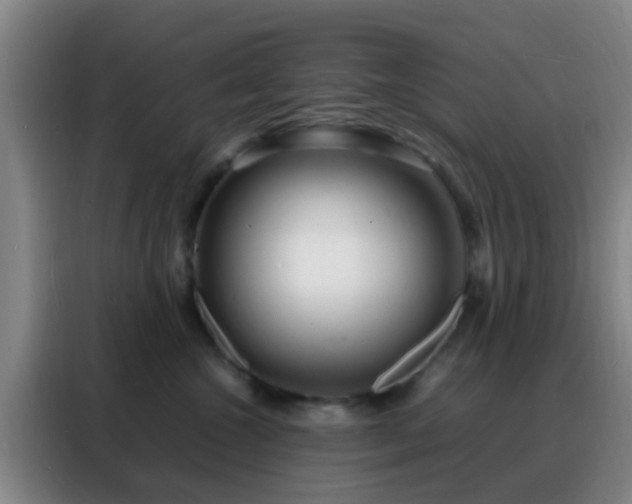 X0000088130572200705211118