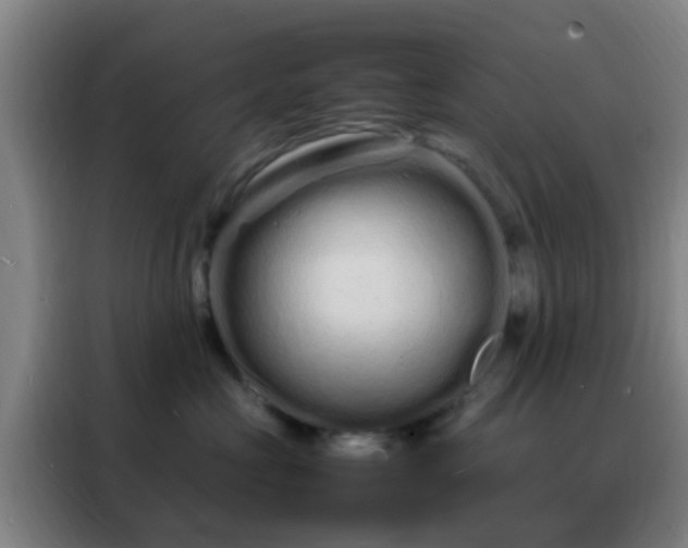 X0000088130573200705211118